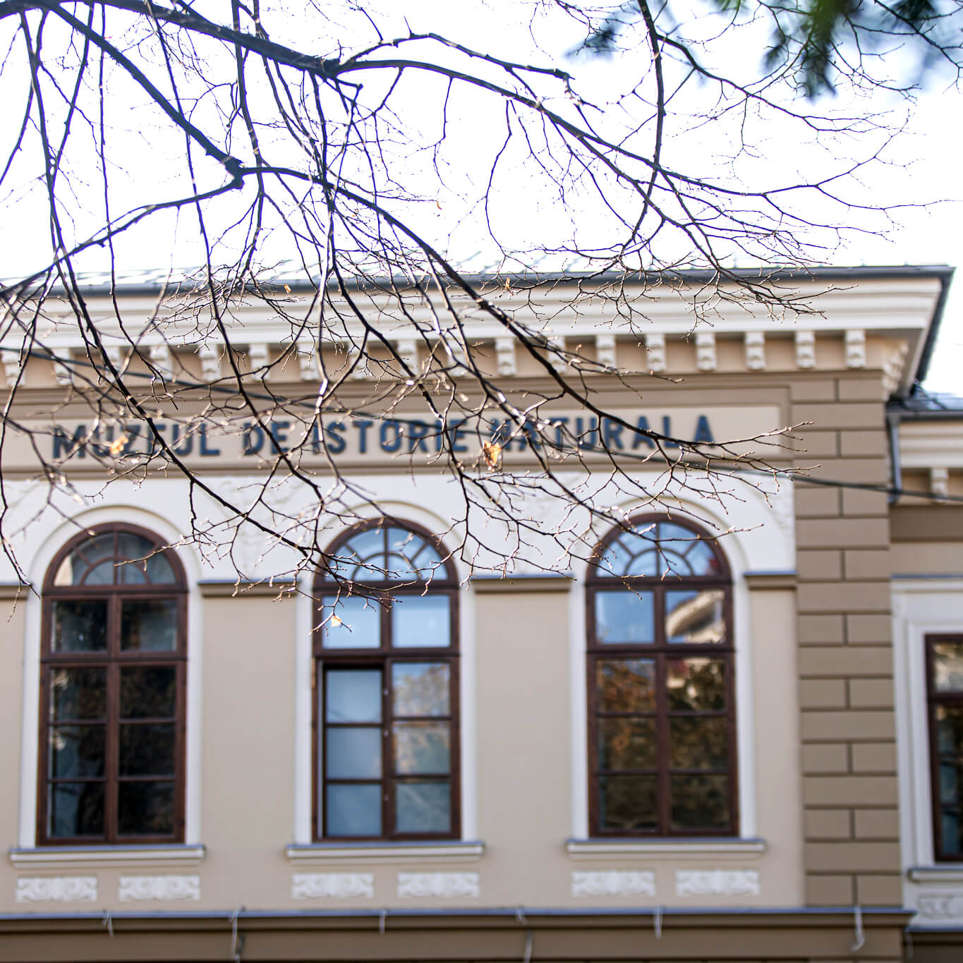 Muzeul de Istorie Naturală 