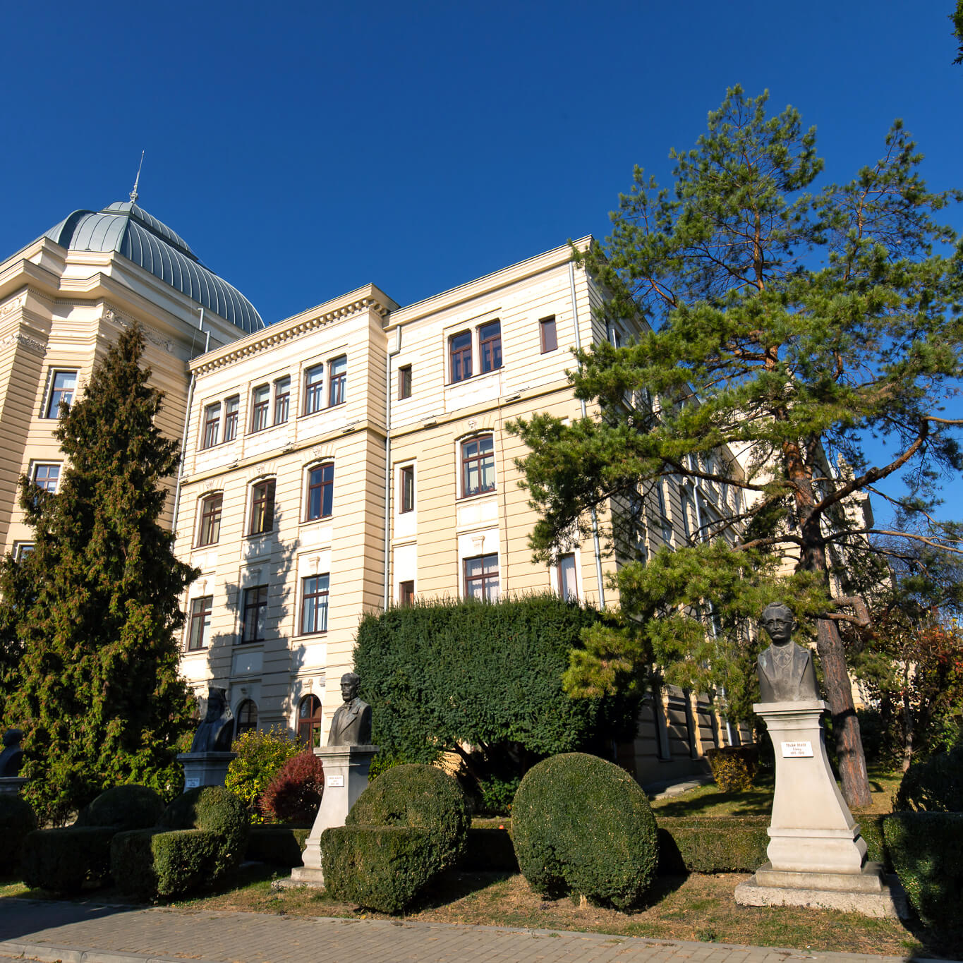 Universitatea „Alexandru Ioan Cuza” 